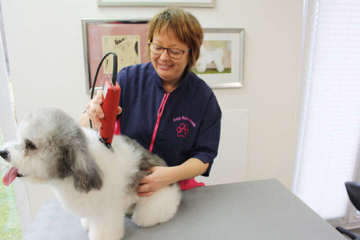 AESCULAP Schermaschine Favorita Speed